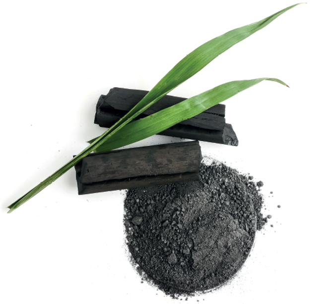 Echosline Karbon 9 Bleaching Powder - odfarbovací prášok s aktívnym uhlím, 500 g