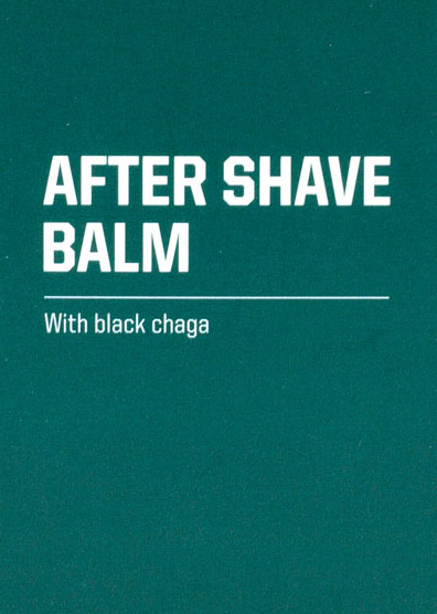 VZOREK: ZEW for men After Shave Balm sachet - balzám po holení s houbou chaga DÁREK